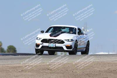 media/Oct-04-2025-OnGrid (Sat) [[44bd565ffa]]/Purple Group/Grapevine/